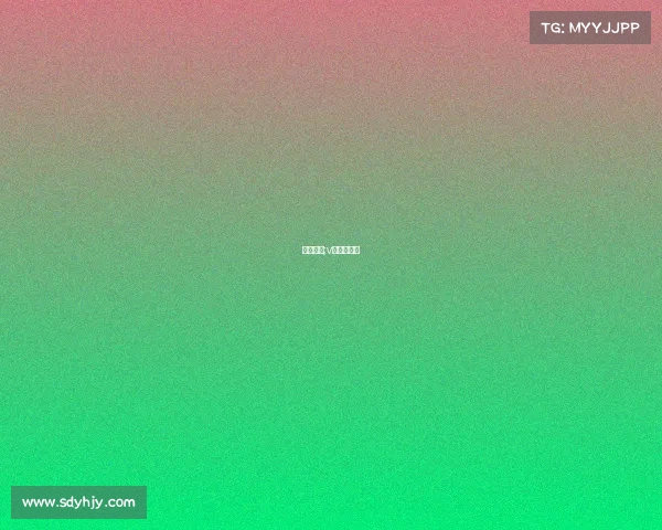 赛事报告;v站赛事情报